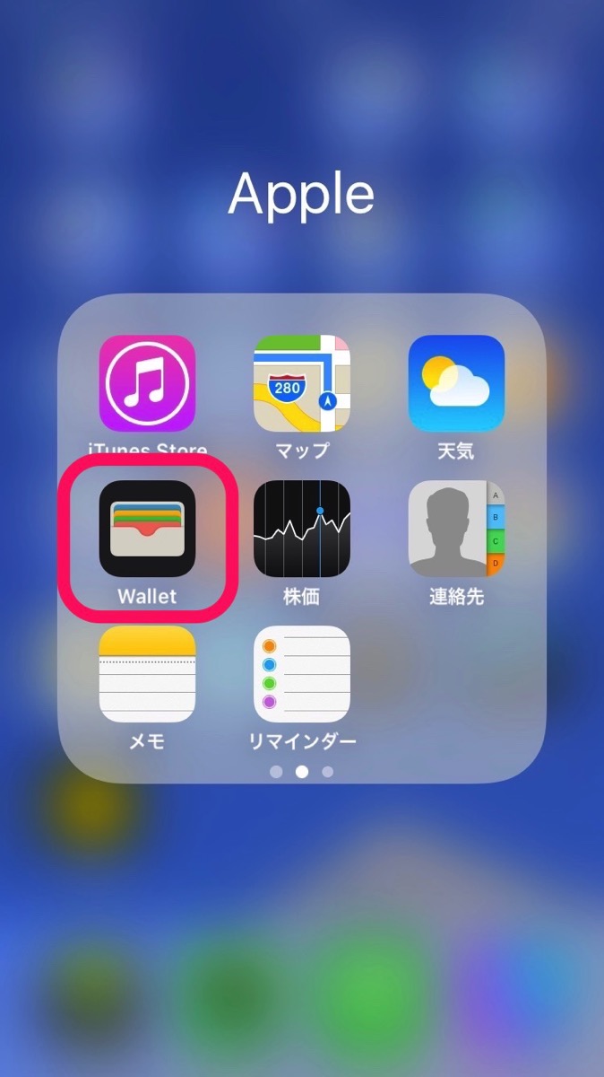 ApplePay9