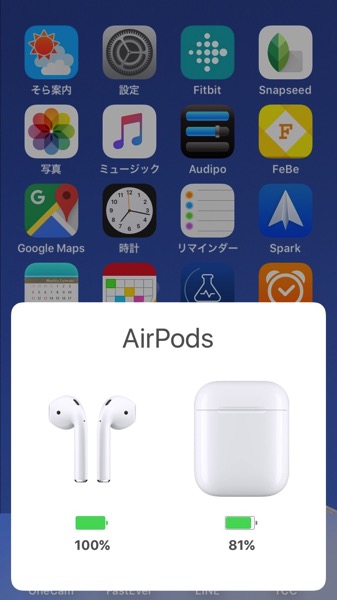 AirPodsの純正ケース4