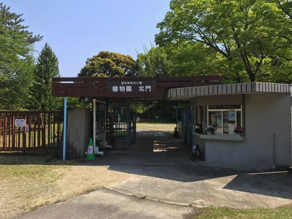 愛知県森林公園の植物園をまた散歩したい 自然に癒され 野生動物に驚きました 4