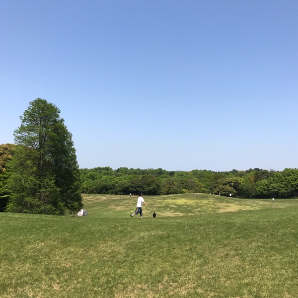 愛知県森林公園の植物園をまた散歩したい 自然に癒され 野生動物に驚きました 12