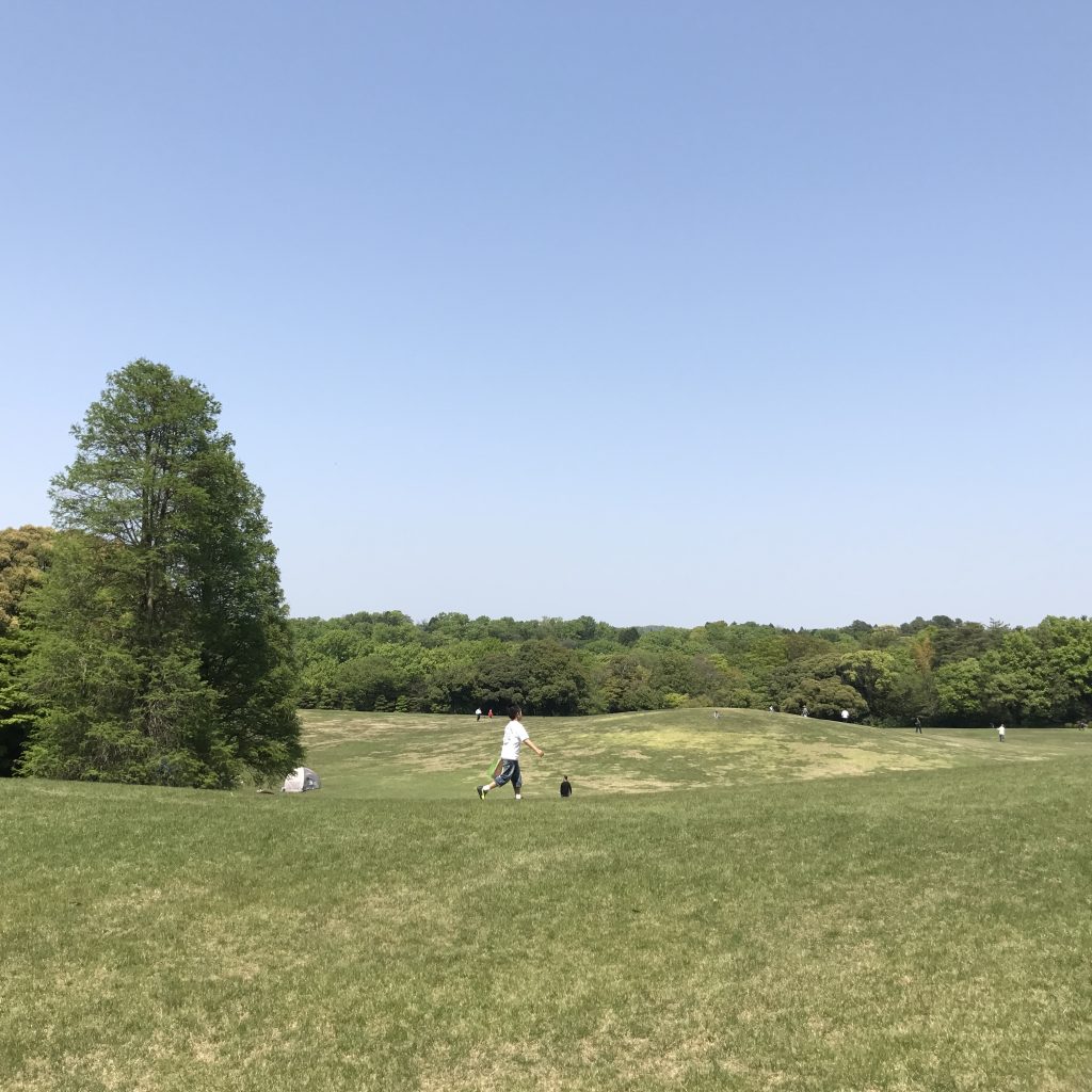 愛知県森林公園の植物園をまた散歩したい。自然に癒され、野生動物に驚きました。12