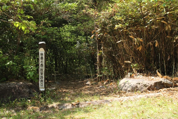 愛知県森林公園の植物園をまた散歩したい 自然に癒され 野生動物に驚きました 8