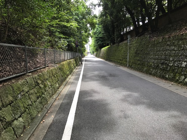 京都ぶらり観光の雑感 京都御所 龍安寺 仁和寺 4